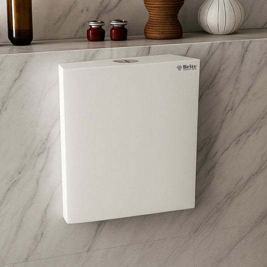 Brite Flush Tank B40